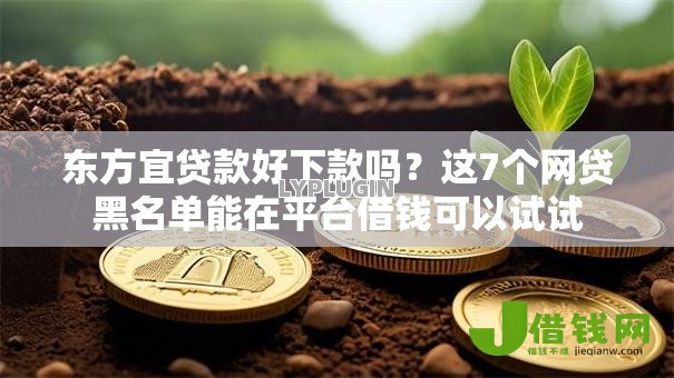 东方宜贷款好下款吗？这7个网贷黑名单能在平台借钱可以试试