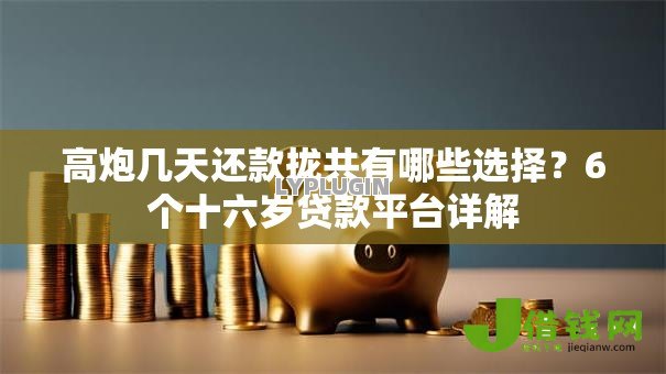高炮几天还款拢共有哪些选择?6个十六岁贷款平台详解 高炮几天还款拢共有哪些选择?6个十六岁贷款平台详解