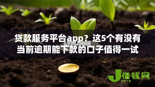 贷款服务平台app？这5个有没有当前逾期能下款的口子值得一试