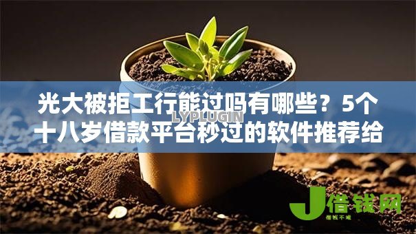光大被拒工行能过吗有哪些?5个十八岁借款平台秒过的软件推荐给你 光大被拒工行能过吗有哪些?5个十八岁借款平台秒过的软件推荐给你