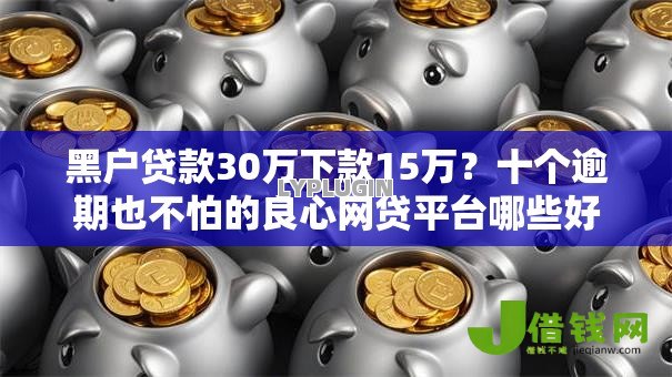 黑户贷款30万下款15万？十个逾期也不怕的良心网贷平台哪些好