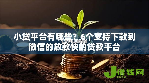 小贷平台有哪些?6个支持下款到微信的放款快的贷款平台 小贷平台有哪些?6个支持下款到微信的放款快的贷款平台