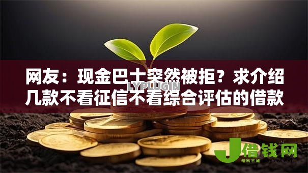 网友:现金巴士突然被拒?求介绍几款不看征信不看综合评估的借款平台 网友:现金巴士突然被拒?求介绍几款不看征信不看综合评估的借款平台