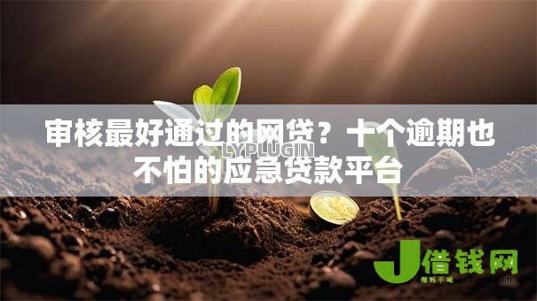 审核最好通过的网贷？十个逾期也不怕的应急贷款平台