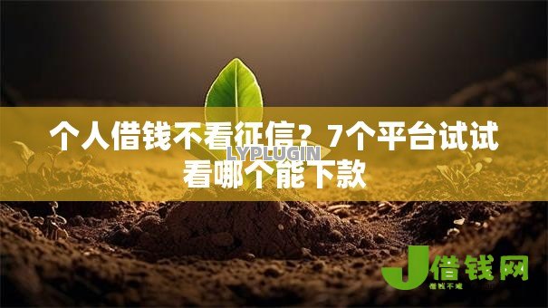 个人借钱不看征信？7个平台试试看哪个能下款