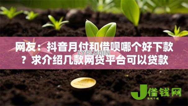 网友:抖音月付和借呗哪个好下款?求介绍几款网贷平台可以贷款 网友:抖音月付和借呗哪个好下款?求介绍几款网贷平台可以贷款