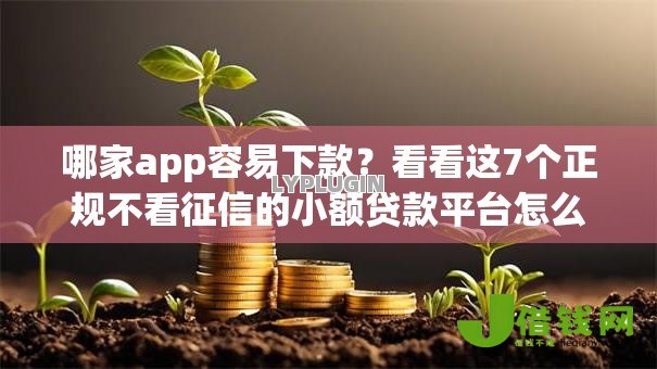 哪家app容易下款?看看这7个正规不看征信的小额贷款平台怎么样 哪家app容易下款?看看这7个正规不看征信的小额贷款平台怎么样