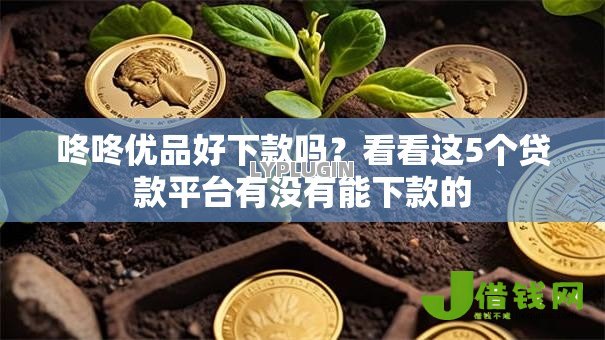 咚咚优品好下款吗？看看这5个贷款平台有没有能下款的