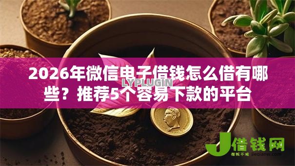 2026年微信电子借钱怎么借有哪些?推荐5个容易下款的平台 2026年微信电子借钱怎么借有哪些?推荐5个容易下款的平台