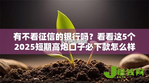 有不看征信的银行吗?看看这5个2025短期高炮口子必下款怎么样 有不看征信的银行吗?看看这5个2025短期高炮口子必下款怎么样