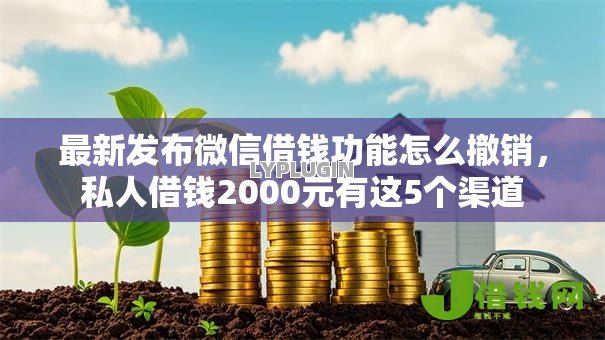 最新发布微信借钱功能怎么撤销，私人借钱2000元有这5个渠道