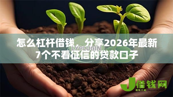 怎么杠杆借钱,分享2026年最新7个不看征信的贷款口子 怎么杠杆借钱,分享2026年最新7个不看征信的贷款口子