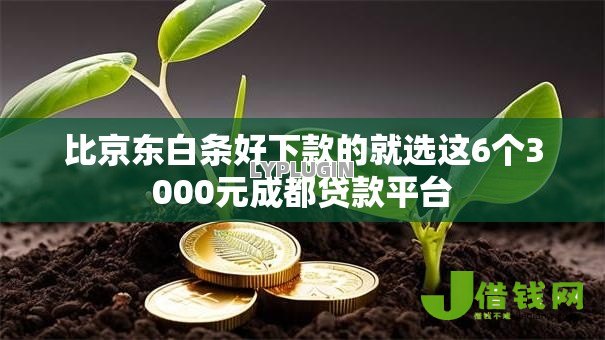 比京东白条好下款的就选这6个3000元成都贷款平台 比京东白条好下款的就选这6个3000元成都贷款平台