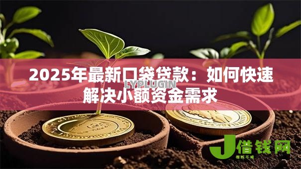 2025年最新口袋贷款：如何快速解决小额资金需求