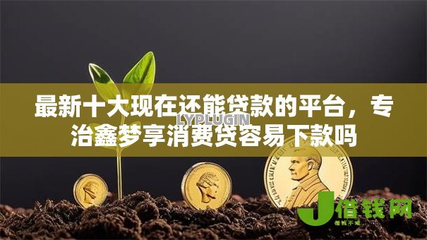 最新十大现在还能贷款的平台，专治鑫梦享消费贷容易下款吗