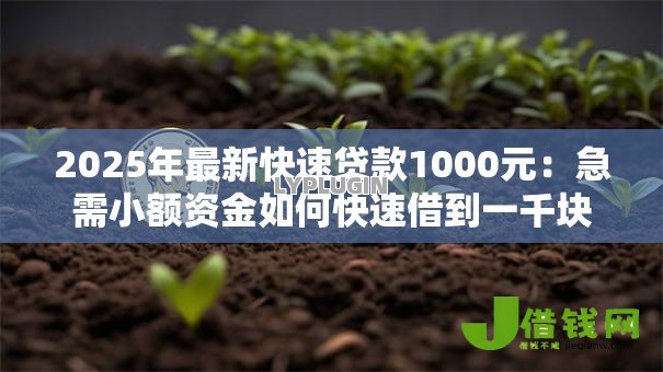 2025年最新快速贷款1000元:急需小额资金如何快速借到一千块 2025年最新快速贷款1000元:急需小额资金如何快速借到一千块