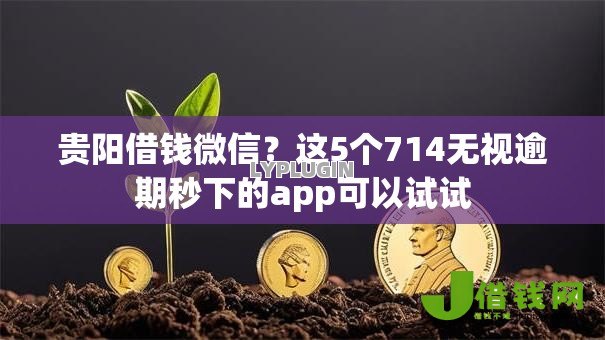 贵阳借钱微信？这5个714无视逾期秒下的app可以试试
