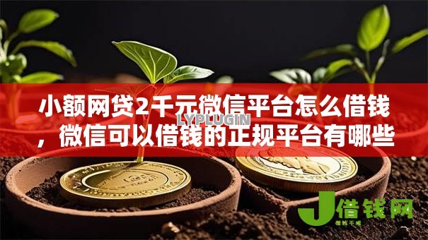 小额网贷2千元微信平台怎么借钱,微信可以借钱的正规平台有哪些的5个平台介绍 小额网贷2千元微信平台怎么借钱,微信可以借钱的正规平台有哪些的5个平台介绍