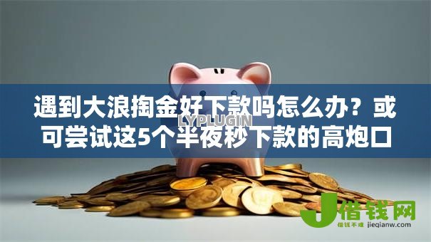 遇到大浪掏金好下款吗怎么办？或可尝试这5个半夜秒下款的高炮口子