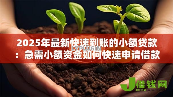 2025年最新快速到账的小额贷款：急需小额资金如何快速申请借款