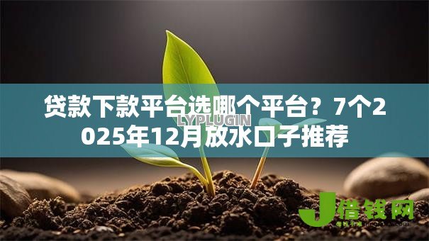 贷款下款平台选哪个平台?7个2025年12月放水口子推荐 贷款下款平台选哪个平台?7个2025年12月放水口子推荐