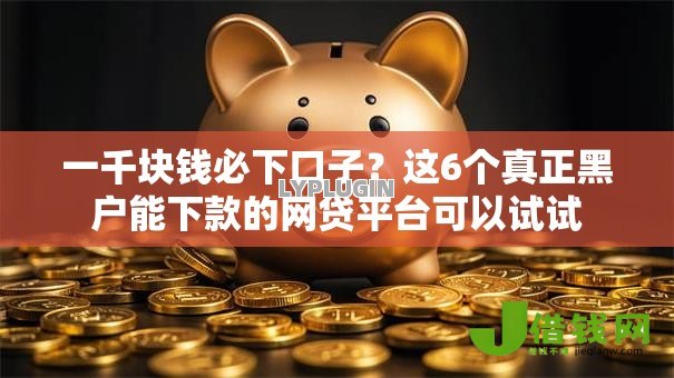 一千块钱必下口子?这6个真正黑户能下款的网贷平台可以试试 一千块钱必下口子?这6个真正黑户能下款的网贷平台可以试试