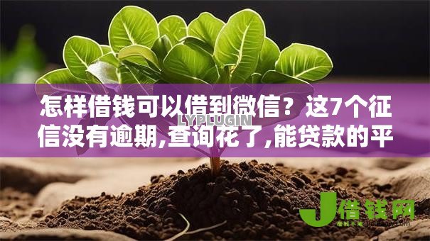 怎样借钱可以借到微信？这7个征信没有逾期,查询花了,能贷款的平台值得一试