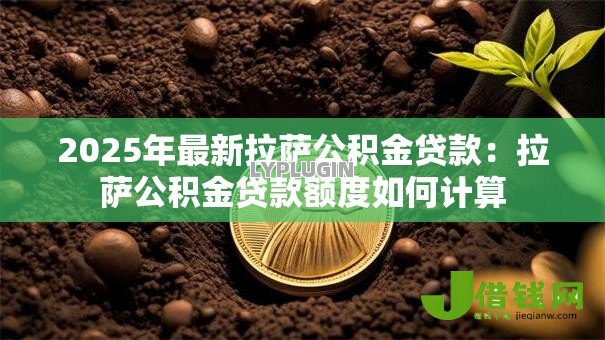 2025年最新拉萨公积金贷款：拉萨公积金贷款额度如何计算