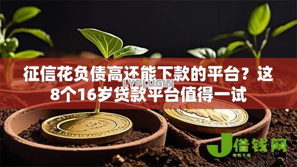 征信花负债高还能下款的平台？这8个16岁贷款平台值得一试