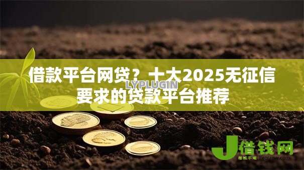 借款平台网贷?十大2025无征信要求的贷款平台推荐 借款平台网贷?十大2025无征信要求的贷款平台推荐