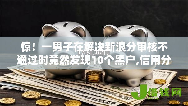 惊！一男子在解决新浪分审核不通过时竟然发现10个黑户,信用分低平台可以借钱，事后分享了出来