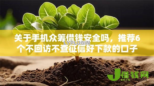 关于手机众筹借钱安全吗,推荐6个不回访不查征信好下款的口子给你 关于手机众筹借钱安全吗,推荐6个不回访不查征信好下款的口子给你