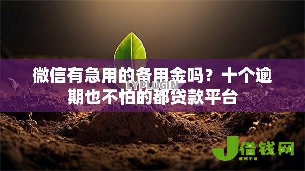 微信有急用的备用金吗?十个逾期也不怕的都贷款平台 微信有急用的备用金吗?十个逾期也不怕的都贷款平台