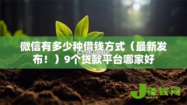 微信有多少种借钱方式（最新发布！）9个贷款平台哪家好