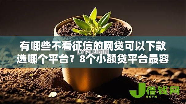 有哪些不看征信的网贷可以下款选哪个平台?8个小额贷平台最容易下款推荐 有哪些不看征信的网贷可以下款选哪个平台?8个小额贷平台最容易下款推荐