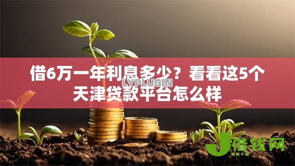 借6万一年利息多少？看看这5个天津贷款平台怎么样