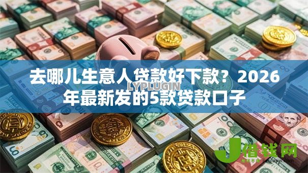 去哪儿生意人贷款好下款？2026年最新发的5款贷款口子