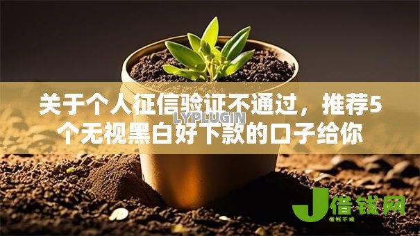 关于个人征信验证不通过，推荐5个无视黑白好下款的口子给你