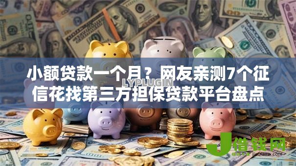 小额贷款一个月?网友亲测7个征信花找第三方担保贷款平台盘点 小额贷款一个月?网友亲测7个征信花找第三方担保贷款平台盘点