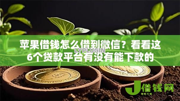 苹果借钱怎么借到微信?看看这6个贷款平台有没有能下款的 苹果借钱怎么借到微信?看看这6个贷款平台有没有能下款的