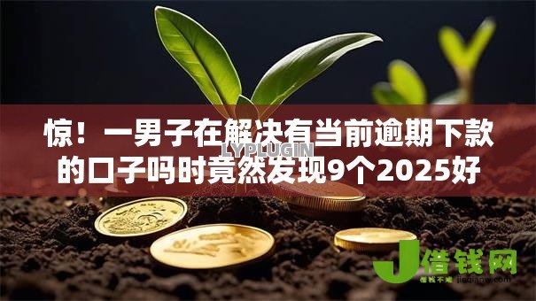 惊！一男子在解决有当前逾期下款的口子吗时竟然发现9个2025好下款的口子，事后分享了出来