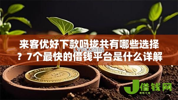 来客优好下款吗拢共有哪些选择？7个最快的借钱平台是什么详解