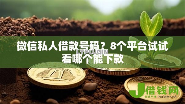 微信私人借款号码?8个平台试试看哪个能下款 微信私人借款号码?8个平台试试看哪个能下款