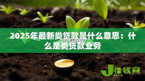 2025年最新类贷款是什么意思:什么是类贷款业务 2025年最新类贷款是什么意思:什么是类贷款业务