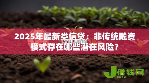2025年最新类信贷:非传统融资模式存在哪些潜在风险? 2025年最新类信贷:非传统融资模式存在哪些潜在风险?