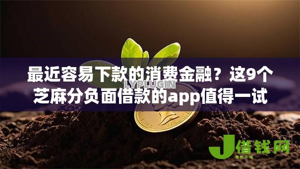 最近容易下款的消费金融？这9个芝麻分负面借款的app值得一试