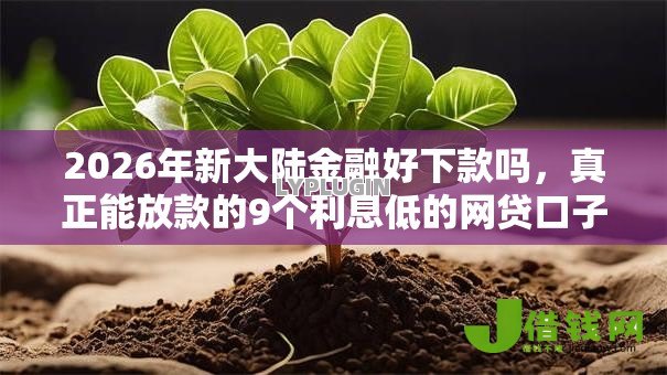 2026年新大陆金融好下款吗，真正能放款的9个利息低的网贷口子推荐