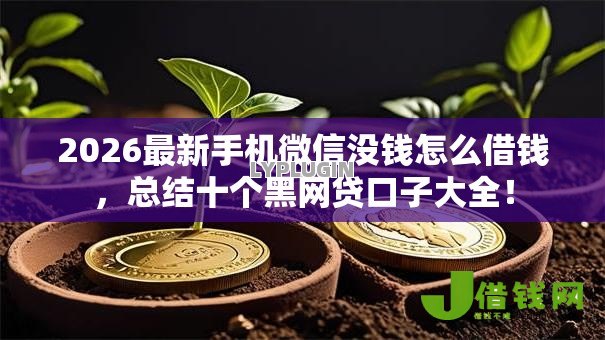 2026最新手机微信没钱怎么借钱,总结十个黑网贷口子大全! 2026最新手机微信没钱怎么借钱,总结十个黑网贷口子大全!
