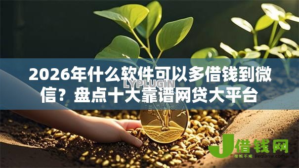 2026年什么软件可以多借钱到微信?盘点十大靠谱网贷大平台 2026年什么软件可以多借钱到微信?盘点十大靠谱网贷大平台