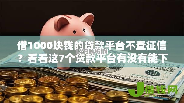 借1000块钱的贷款平台不查征信？看看这7个贷款平台有没有能下款的